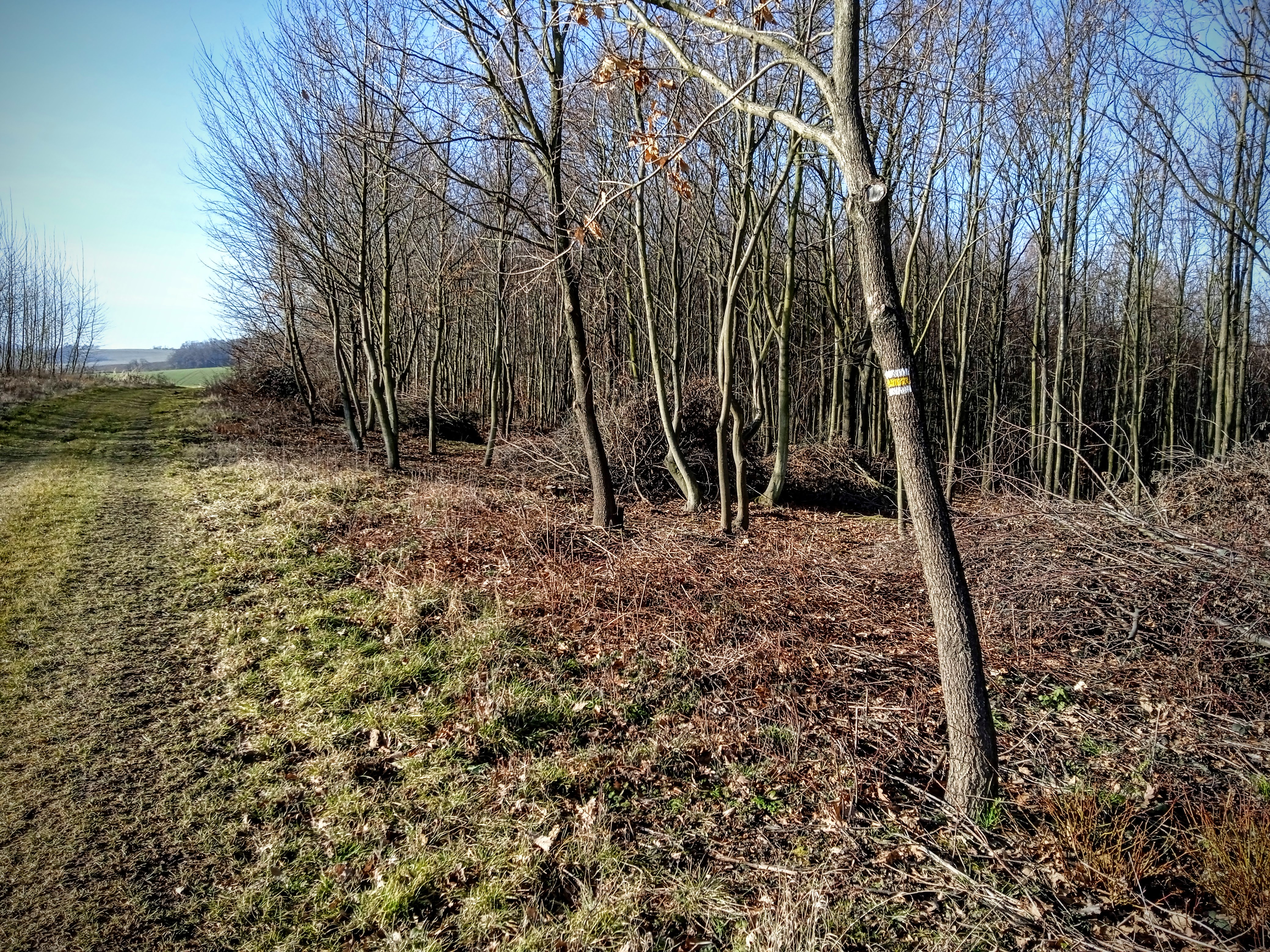 Pohled na české kopce